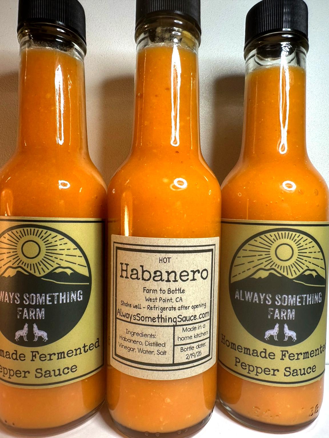 Habanero fermented hot sauce bottle from Always Something Farm